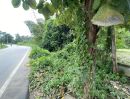 ขายที่ดิน - ที่ดิน ติดแม่น้ำและถนน 1-3-53 ไร่ ในเมืองเลย Land for sale by the river and road, in Loei, Thailand