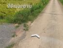 ขายที่ดิน - ขายที่ดิน​321 ตรวต.สาริกา​อ.เมืองนครนายกใกล้โรงเกลือสวนน้ำมีน้ำมีนา