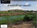 ขายที่ดิน - ที่ดิน 1 ไร่ ติดถนนแถมบรรยากาศคือดีย์เวอร์ ด้านหน้ามีวิวเขา และคลองบัว