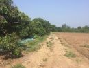ขายที่ดิน - ขายถูกมากสวนผักบ้านหนองสมณะใต้ ซอย 8 ต.นครเจดีย์ มีโฉนด 15 ไร่ ขายยกแปลงเพียง 3.9 ล้านพร้อมโอน