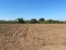 ขายที่ดิน - ขายถูกมากสวนผักบ้านหนองสมณะใต้ ซอย 8 ต.นครเจดีย์ มีโฉนด 15 ไร่ ขายยกแปลงเพียง 3.9 ล้านพร้อมโอน