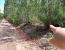 ขายที่ดิน - ขายที่ดินพร้อมสวนป่ายูคาลิปตัส 20-0-18 ไร่ (2แปลงติดกัน) ตำบลสันป่าตอง อำเภอนาเชือก จังหวัดมหาสารคาม