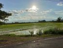 ขายที่ดิน - ขายที่นาติดทางหลวง บ้านหนองผ้าขาว ต.น้ำดิบ อ.ป่าซาง จ.ลำพูน