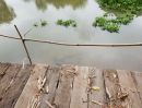 ขายที่ดิน - ขายที่ดินริมแม่น้ำลพบุรี ป่าสัก 10-2-97.8 อ.เมือง อยุธยา