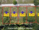 ขายที่ดิน - ขายที่ดินแม่โจ้สันทราย 130 วา ใกล้โรงพยาบาลสันทราย