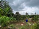 ขายที่ดิน - ขายสวนทุเรียนพร้อมบ้าน ขายสวนทุเรียนแปลงเล็กขนาด 367 ตรว สวนทุเรียนติดคลอง สวนเกษตรยามเกษียณ พลงตาเอี่ยม วังจันทร์ ระยอง
