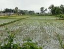 ขายที่ดิน - ขายที่ดินบ้านท่าต้นแฟน ซอย 6 ถนนพหลโยธิน อำเภอแม่จัน เชียงราย