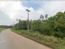 ขายที่ดิน - ขายที่ดินโคกไทยติดฟาร์มหมู 96 ไร่ ติดถนนลาดยาง ใกล้ถนนเส้น 3011 - 2.5 กม. อ.ศรีมโหสถ จ.ปราจีนบุรี