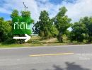 ขายที่ดิน - บ้านเดี่ยว 51.8 ตรว. หมู่บ้านนาราพาร์ค 4 ห้องนอน บางกรวย นครอินทร์ วงเวียนพระราม 5 ราชพฤกษ์ นนทบุรี