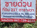 ขายที่ดิน - ขายที่ดิน ราคาประเมิน 221 ตารางวา ไทรน้อย นนทบุรี