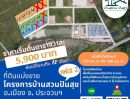 ขายที่ดิน - ที่ดินประจวบแบ่งขาย ที่ดินโฉนด 125-150 ตร.วา