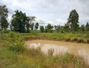 ขายที่ดิน - ขายที่ดินเปล่า 21 ไร่ ดินดี ราคาถูกมาก มีไม้ยืนต้น มีสระน้ำ มีถนนเข้าถึง