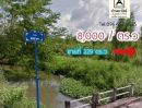 ขายที่ดิน - ที่ดินแบ่งขาย 229 ตรว ในหมู่บ้านจัดสรร ใกล้แกรนด์จามจุรีรีสอร์ท ต.เหมืองง่า อ.เมือง จ.ลำพูน