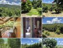 ขายบ้าน - ขายบ้านไม้ทรงไทย ติดลำธาร วิวภูเขาสวย พร้อมสวนผสม 10 -2-25 ไร่ ใกล้ทางขึ้นดอยอินทนนท์ เชียงใหม่