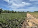 ขายที่ดิน - ขายที่ดิน แปลงสวย พื้นที่สีเขียว ติดภูเขา บ้านยุบพริก ตำบลบ่อนอก อำเภอเมืองประจวบคีรีขันธ์ ประจวบคีรีขันธ์