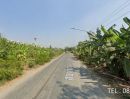 ขายที่ดิน - ขายที่ดิน ติดถนนแสงชูโตขาเข้ากรุงเทพ อำเภอท่ามะกา กาญจนบุรี