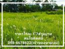 ขายที่ดิน - ที่ดินวิวเขาล้อมรอบ วิวเขาใหญ่ เนื้อที่ 10-3-91 ไร่