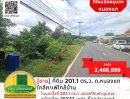 ขายที่ดิน - ขายที่ดิน 201.1 ตร.ว. เส้นถ.หนองแก ใกล้คาเฟ่ใกล้บ้าน และสำนักงานที่ดินอุบลฯ แห่งใหม่