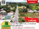 ขายที่ดิน - ขายที่ดิน 201.1 ตร.ว. เส้นถ.หนองแก ใกล้คาเฟ่ใกล้บ้าน และสำนักงานที่ดินอุบลฯ แห่งใหม่