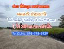 ขายที่ดิน - ด่วน ที่ดินถูก บนทำเลทอง คลอง9 ธัญบุรี(ซ.ต้นไม้ใหญ่) ใกล้ถนนใหญ่รังสิตนครนายก 900 เมตร 1 ไร่ 3 ล้านบาทเท่านั้น