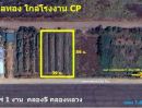 ขายที่ดิน - ที่ดินคลอง5 คลองหลวง ปทุมธานี ใกล้โรงงานเครือCP ใกล้มอเตอร์เวย์ 1 ไร่ 1งาน