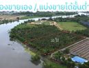 ขายที่ดิน - ขายที่ดินติดริมน้ำท่าจีน อ.สามพราน นครปฐม