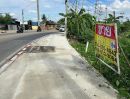 ขายที่ดิน - ขายที่ดิน 53 ตารางวา ติดถนนบางแวก ใกล้ซอยโรงถ่าน ภาษีเจริญ กรุงเทพมหานคร ZT236