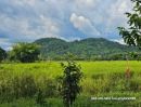 ขายที่ดิน - ขายที่สวนวิวเขา ไม่ต้องถม เขาพระ นครนายก ในแปลงมีไม้ป่านานาพันธุ์ เหมาะเปิดกิจการ คาเฟ่ ร้านกาแฟ ร้านอาหาร