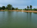 ขายที่ดิน - ขายที่ดินสองพี่น้อง บ้านสวยริมทะเลสาบ 1 ไร่ สุพรรณบุรี