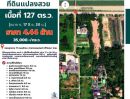 ขายที่ดิน - ขายที่ดินถนนอักษะ พุทธมณฑลสาย 4 เนื้อที่ 127 ตารางวา ทวีวัฒนา กรุงเทพ