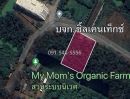 ขายที่ดิน - ขายที่ดิน แปลงรูปสีเหลี่ยมผืนผ้า 1-0-21 ไร่ บางหลวง เมืองปทุมธานี ผังเมืองสีชมพู ตั้งอยู่บนแหล่งชุมชนการเดินทางสะดวก