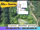 ขายที่ดิน - ที่ดิน พร้อมโรงงาน สวนป่า เนื้อที่ 7 ไร่ 2 งานกว่า ต.ปลายนา อ.ศรีประจันต์ จ.สุพรรณบุรี