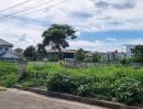 ขายที่ดิน - ขายที่ดินตำบลฟ้าฮ่ามผังเมืองสีส้มทางเข้าหมู่บ้านโฉนดพร้อมโอน