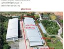 ให้เช่าโรงงาน / โกดัง - ประกาศ ให้เช่าโรงงานพร้อมเอกสารส่งออก GMP+DOA 4 ล้านบาท/ปี