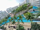 ให้เช่าคอนโด - ให้เช่า คอนโด ลากูน่าบีช รีสอร์ท 3 เดอะมัลดีฟส์ Condo for rent 1BR Laguna Beach Resort 3 The Maldives