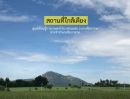 ขายที่ดิน - ขายที่ดิน4 ไร่ เกษตรพอเพียงเหมาะปลูกบ้านพักอาศัย ชัยบาดาล ลพบุรี