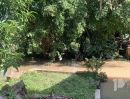 ขายที่ดิน - ขายที่ดินราชบุรี 2 ไร่ พร้อมบ้าน และ สวนมะพร้าว ด้านหลังติดคลอง