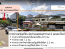 ขายที่ดิน - ขายที่ดิน 2 แปลง รวมกัน เนื้อที่รวม 190 ตารางวา