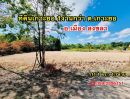 ขายที่ดิน - ที่ดิน เกาะยอ 111.1 ตร.วา น้ำไฟครบ ถนนสาธารณะ ที่ดินถมแล้ว เกาะยอ สงขลา