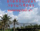 ขายที่ดิน - ขายที่ดินเปล่าหนองขาม 3 งาน 54 ตร.ว. น้ำ-ไฟ เข้าถึง ที่ดินสวย