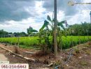 ขายที่ดิน - ที่ดินขนาด 89 ตร.ว. ซ.หมู่บ้านศรีสุภาลัย 1