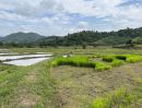 ขายที่ดิน - ที่นา ติดลำน้ำธรรมชาติ วิวเขาสวย 360 องศา