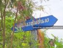 ขายที่ดิน - ขายที่ดินเปล่า ถนนศรีนครินทร์ (ซอยพัฒนาชุมชน10)