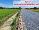 ขายที่ดิน - ขายที่ดินเงินผ่อน ฟรีดอกเบี้ย 1 ไร่ หนองหญ้าไซ สุพรรณบุรี