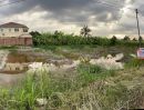 ขายที่ดิน - ขายที่ดิน ซอยวัดพระเงิน บางใหญ่ ราคาถูก ทำเลเยี่ยม 299 วา ติดหมู่บ้านจัดสรร น้ำ ไฟ เข้าถิง ติดถนนตัดใหม่