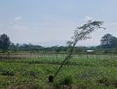 ขายที่ดิน - ขายถูกที่ริมน้ำ เขาใหญ่ ขนงพระ วอเตอร์วีล waterwheel ใกล้ธนะรัชต์ มีหลายแปลง 156ตร.ว ถึง 1ไร่ บรรยากาศดี ต้นไม้เยอะร่มรื่น หน้าโครงการมีเซเว่น