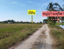 ขายที่ดิน - ขายที่ดิน หมู่ 7 วัดพริก เมืองพิษณุโลก ใกล้ ม.นเรศวร 6.3 กม.