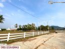 ขายที่ดิน - ที่ดิน อ.สัตหีบ 22 ไร่ ชลบุรี (Land for sale Sattahip District, 22 rai, Chonburi.)