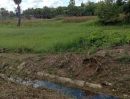 ขายที่ดิน - ที่ดิน เมืองเพชรบุรี ถมดิน ขุดสระ เรียบร้อย น้ำ ไฟฟ้า เขตเทศบาล