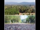 ขายที่ดิน - ที่ดินโฉนดครุทแดง ติดเขาใหญ่ แหล่งต้นน้ำ วิวขุนเขา อยู่ที่ หมู่12 ตำบลนนทรี กบินทร์บุรี ปราจีนบุรี